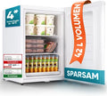 Stillstern Mini-congélateur 42 L – -18 °C, bac à glaçons, serrure, porte réversible, 4 étoiles, idéal camping et bureau 1
