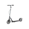 CRIVIT Trottinette Big Wheel, avec mécanisme de pliage rapide (Noir) - Article reconditionné très bon état